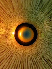 放射される光と目のような球体