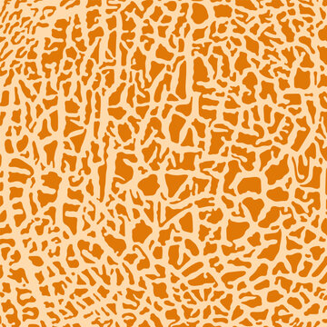 Cantaloupe melon texture for wallpaper or design elements, EPS10. Vector illustration