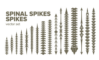 Spinal Spikes Vertical-Sharp Spine-Placement Vertebrae-Patterns Back-Centerline Spine-Alignment Vertical-Back Vector Set - Spine Designs