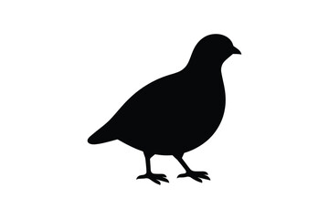 Black silhouette of small bird standing, with rounded body and short legs on white background