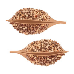 Two wooden spoons filled with a variety of seeds and grains. isolated on white background, Vector, illustration