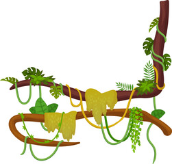 Fototapeta premium Tropical tree corner with greenery hanging. Climbing creepers