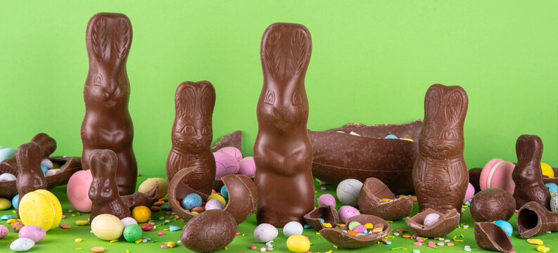 Easter eggs, bunny and rabbits on bright green background
