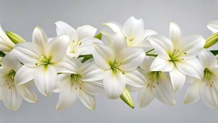 Fototapeta premium White frangipani bouquet on black background with tropical blossoms