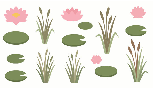 Cartoon aquatic plant vector set with lotus lily pads and marsh grass for wetland ecosystem and nature education isolated on white