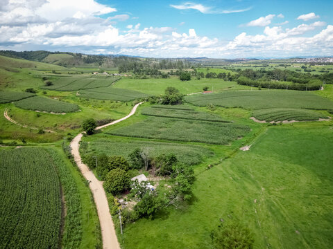 Vista a&eacute;rea com drone de uma planta&ccedil;&atilde;o de milho cercada por morros verdes e &aacute;rea rural, formando uma paisagem agr&iacute;cola ampla e cinematogr&aacute;fica sob c&eacute;u nublado.