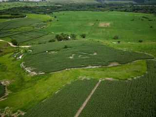 Obraz premium Vista aérea com drone de uma plantação de milho cercada por morros verdes e área rural, formando uma paisagem agrícola ampla e cinematográfica sob céu nublado.