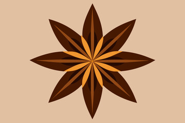 Brown Star Anise Spice on Beige Background abstract