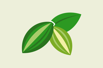 Two Green Cocoa Pods with Leaves on Cream Background