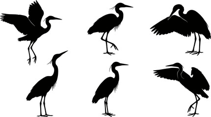 Naklejka premium Heron and crane bird silhouette set for wildlife and nature design 