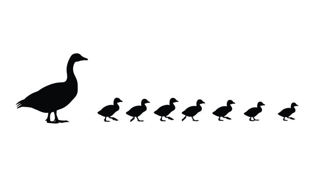 A mother duck leading her ducklings in a line across a body of water Vector