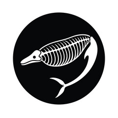 whale skeleton fossil background