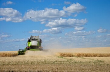 Obraz premium Food production concept. Combine harvester from behind harvesting wheat grain, vast agricultural land, bright summer day, copy space.
