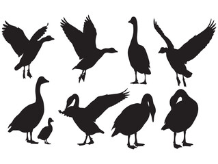 Collection of goose silhouettes in various poses and sizes