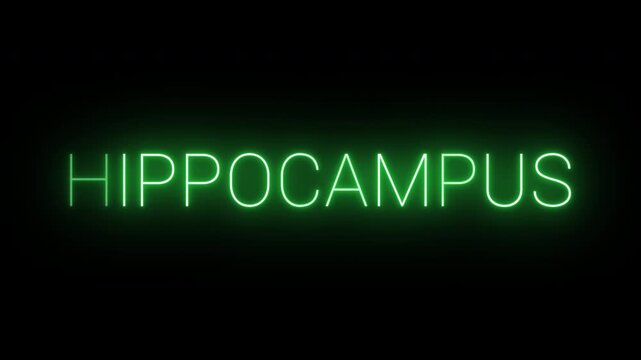 Flickering neon green glowing hippocampus sign animated black background.