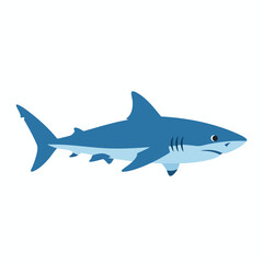 Obraz premium Blue Shark Illustration