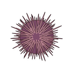 Purple Sea Urchin Icon on White Background
