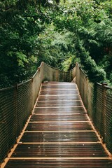 View of a Wooden Footbridge in a Forest. © mdsaidul