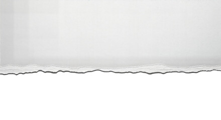 Fototapeta premium Torn paper edge, ripped sheet, white background, torn paper texture