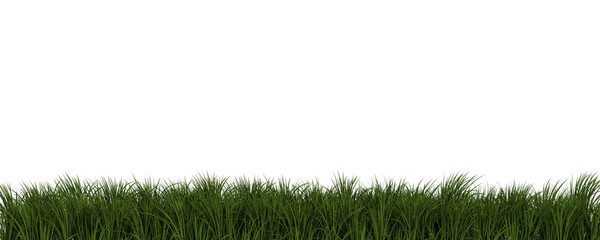 Dense Strip of Green Grass © Graphic