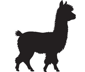 Fototapeta premium Alpaca silhouette standing on transparent background representing south american livestock and wool