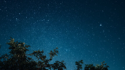 A stunning starry night sky with trees in the foreground silhouette