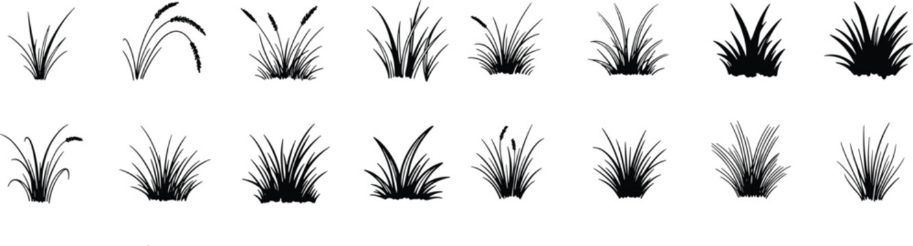  grass and reed icon set. meadow  nature vegetation symbols 