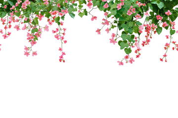 Flower  frame for wedding, birthday, card, background, invitation, wallpaper, sticker, decoration etc.
