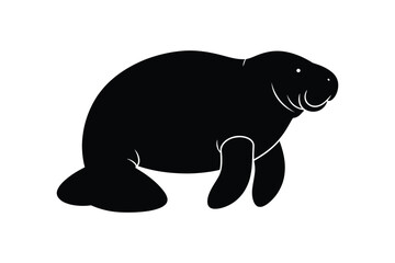 Manatee sea cow silhouette isolated on white background aquatic mammal illustration for marine life education
