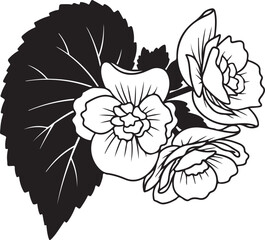 Fototapeta premium Beautifulbegoniaflowersandleavesgraphicillustrationisolatedontransparentbackgroundfordecorativepurposes