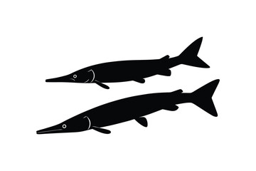 Obraz premium Pair of sleek, long-bodied gar fish depicted in black silhouette on clean white background, swimming