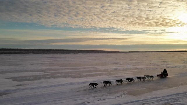 Team of sled dogs with a musher running on a frozen river during a beautiful sunset in alaska