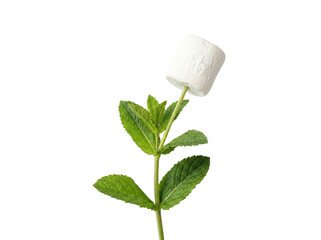 Creative Marshmallow Flower