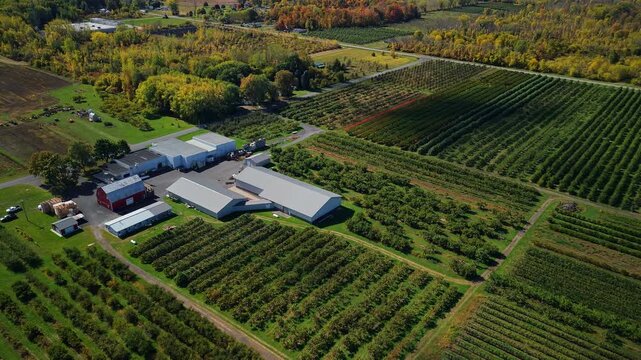 Aerial view of agricultural farm buildings surrounded by apple orchards and cultivated fields in autumn countryside USA