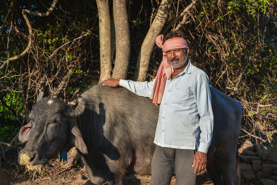 Indian farmer standing with his buffalo