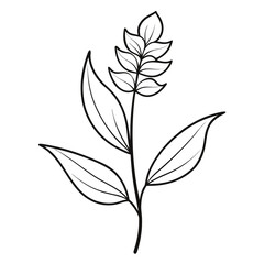 black and white flower