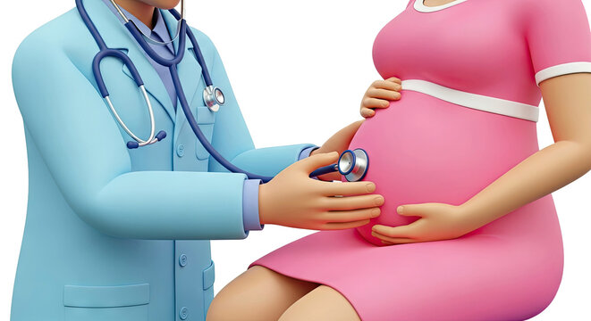 Doctor checks pregnant belly with stethoscope
