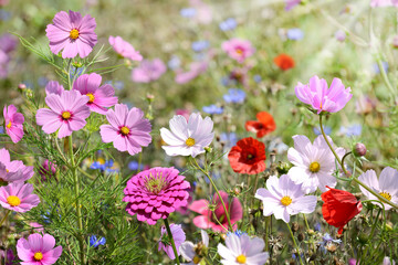 Obraz premium Garten 1528