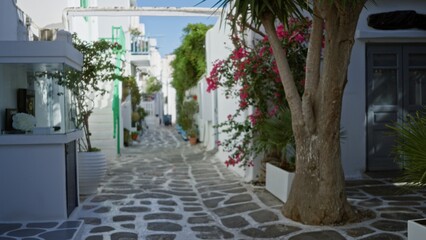 Obraz premium Sunlit whitewashed alley with cobblestone path, tree and bougainvillea in soft defocused shallow bokeh; background backdrop copyspace.