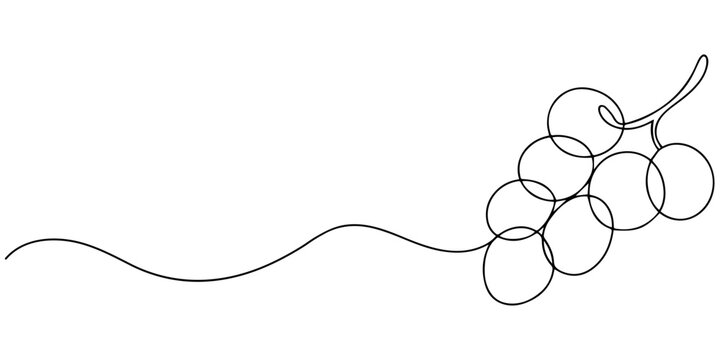 Minimalist line art of grapes on vine with elegant fluid design. Non editable stroke, Continuous one line drawing of a grape bunch with a leaf, perfect for minimalist vineyard branding, wine packaging