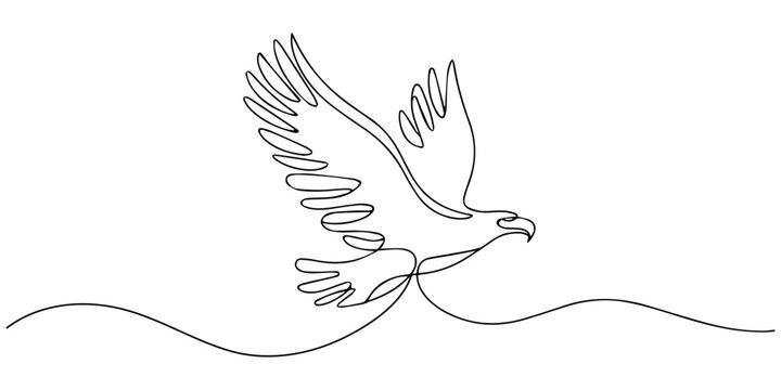 Eagle, One line is a solid bird. Line art, outline, single line silhouette. vector illustration, An eagle soars in the sky with its wings spread wide. A large bird of prey flies in the air.
