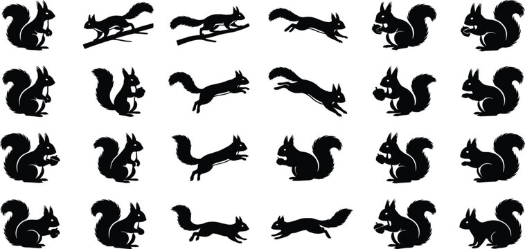Black Silhouette Set of Wild Squirrels in Various Poses Including Jumping Running and Eating Nuts for Nature Wildlife Protection and Forest Environment Vector