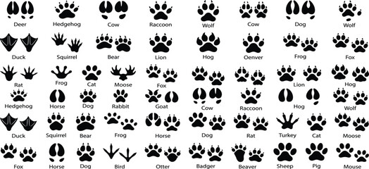 Black Silhouette Set of Various Animal Paw Prints and Bird Tracks Including Deer Bear Wolf Lion and Domestic Pets for Wildlife Education and Tracking