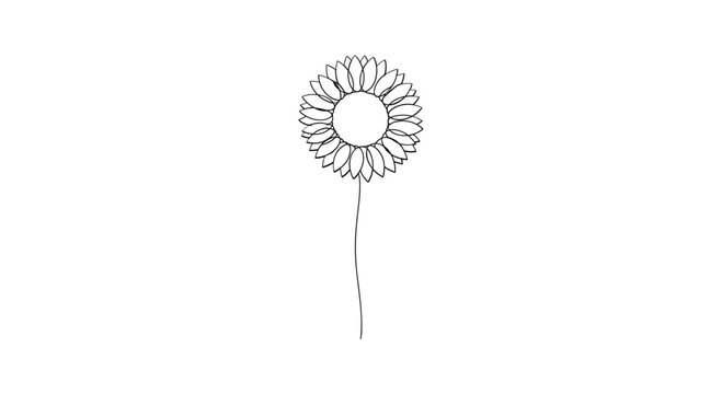 Elegant sunflower illustration with detailed petals and stem