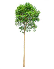 Two fresh ripe red strawberries with green leaves isolated on white background
