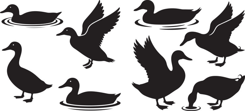 Set of duck. silhouette vector icon illustration with white background