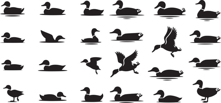 Set of duck. silhouette vector icon illustration with white background