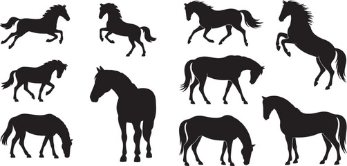 Fototapeta premium Set of horse. silhouette vector icon illustration with white background