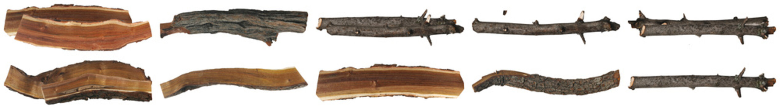 a detailed photograph showcasing a collection of natural tree bark pieces and wood fragments against a stark transparent background.