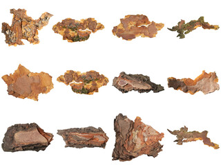 Fototapeta premium textured collection of diverse natural tree bark fragments with organic elements and rustic patterns on a clear background.
